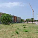 Da qualche settimana chi passeggia su via Omodeo, nella zona San Marcello di Bari...